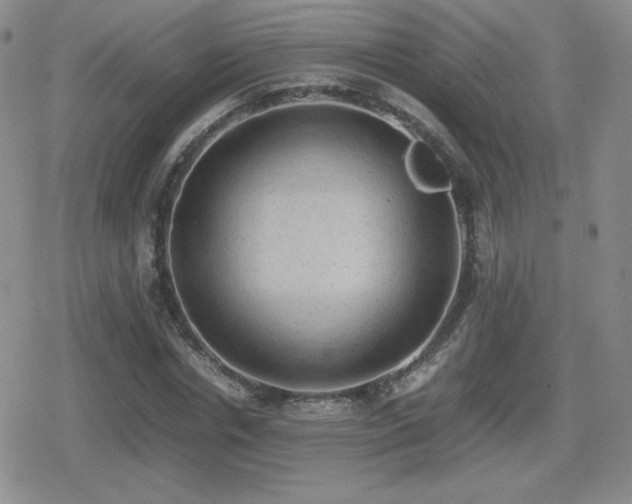 X0000080730826200612151222