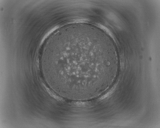 X0000080730827200612151222