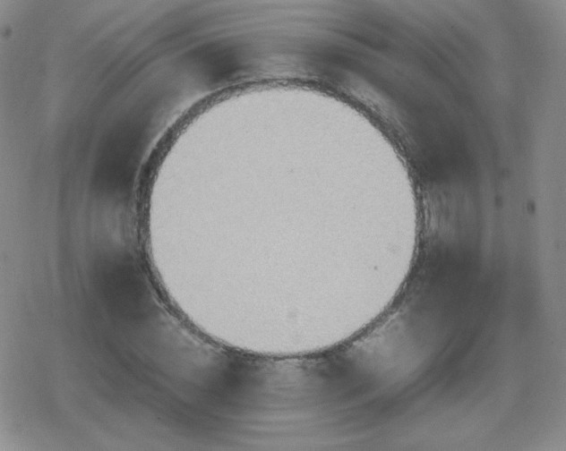 X0000080730828200612151222