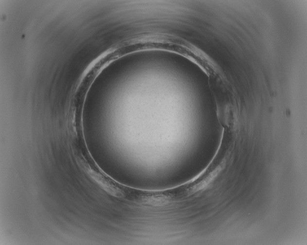 X0000080730830200612151222