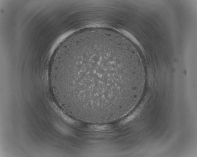 X0000080730831200612151222