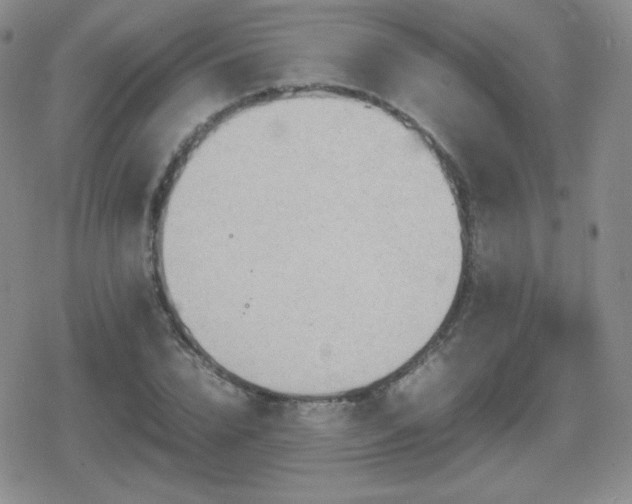 X0000080730832200612151222