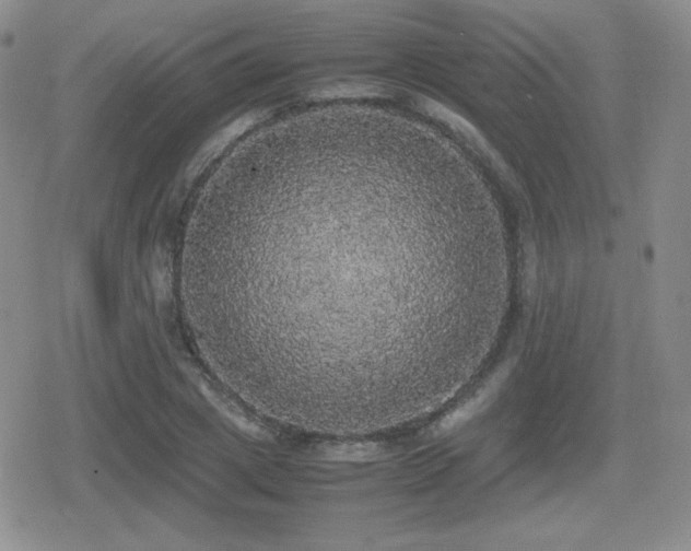 X0000080730833200612151222