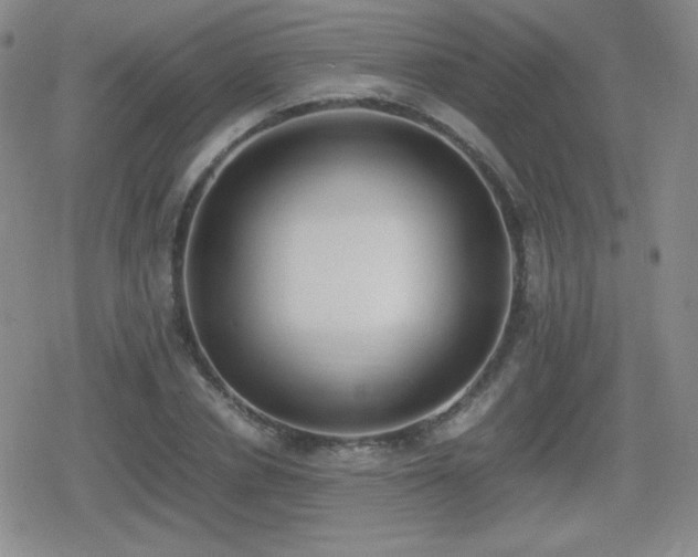 X0000080730834200612151222