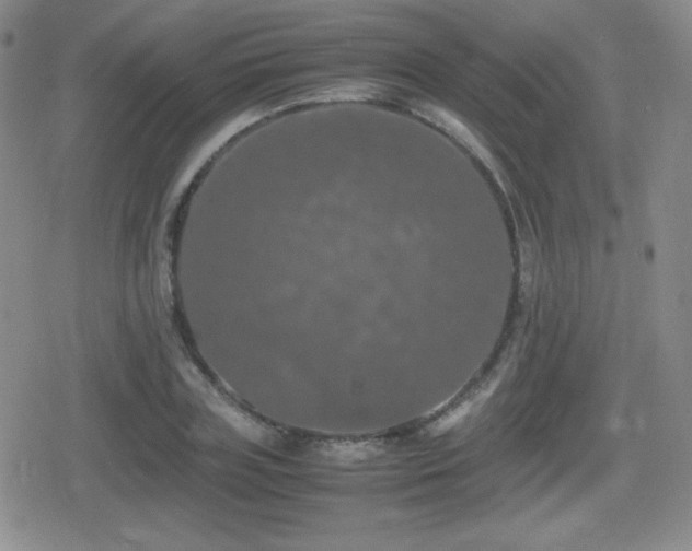 X0000080730835200612151222