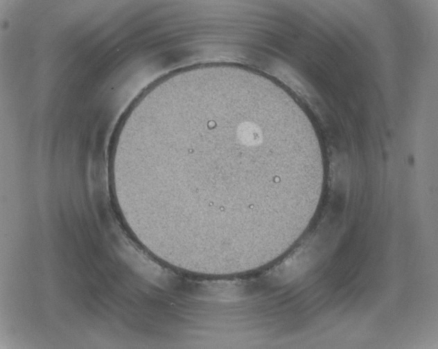 X0000080730836200612151222