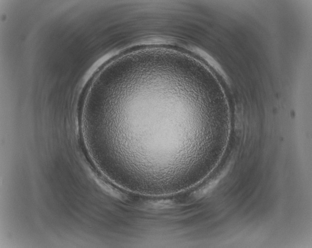 X0000080730837200612151222