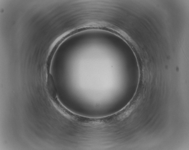 X0000080730838200612151222