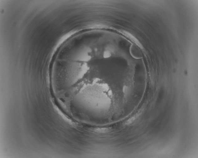 X0000080730839200612151222