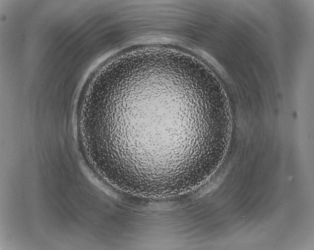 X0000080730840200612151222