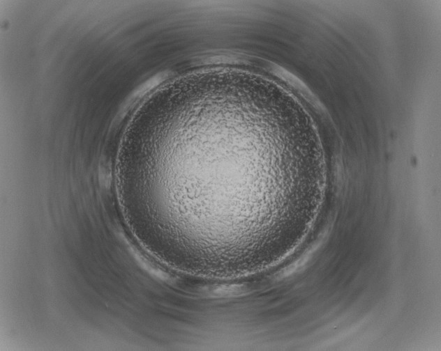 X0000080730841200612151222