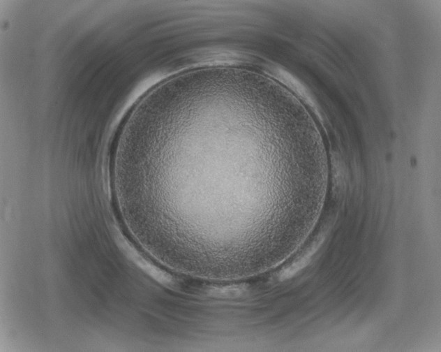 X0000080730843200612151222