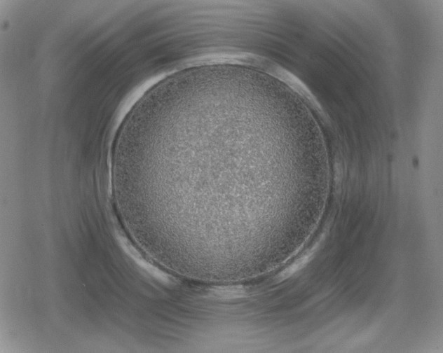 X0000080730844200612151222