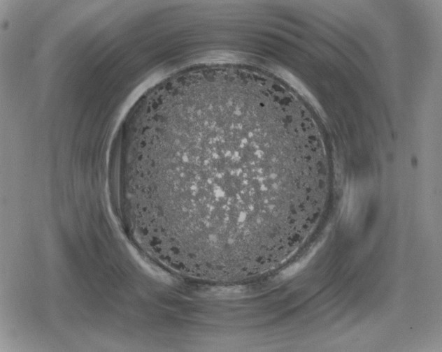 X0000080730845200612151222