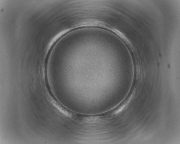 X0000080730846200612151222