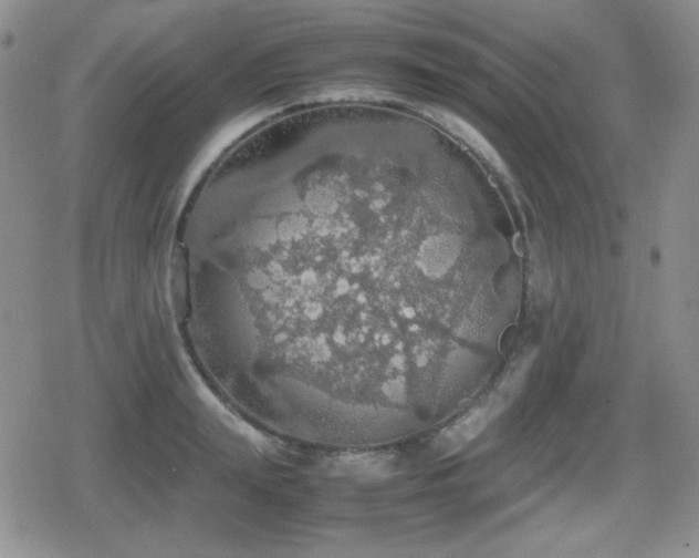 X0000080730847200612151222