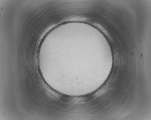 X0000080730848200612151222