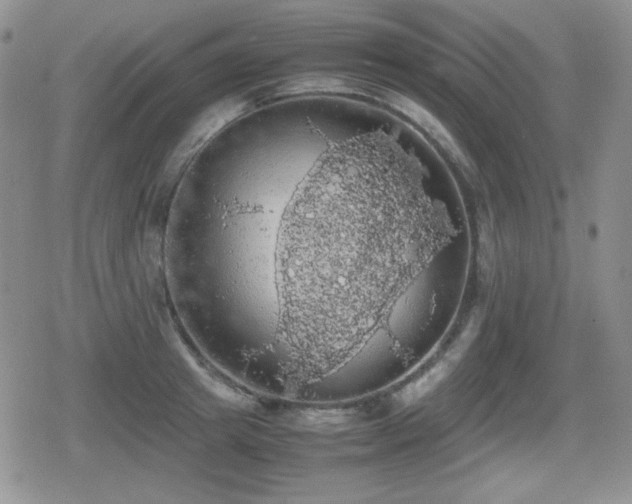 X0000080730849200612151222