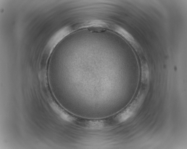 X0000080730850200612151222