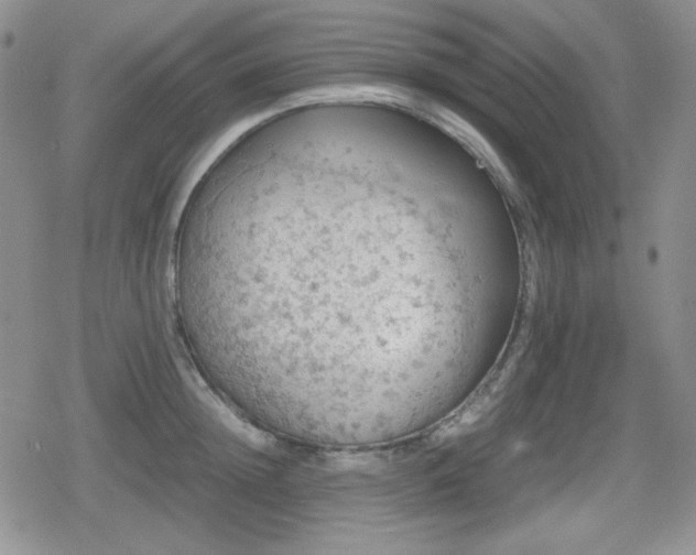 X0000080730852200612151222