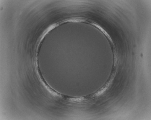 X0000080730853200612151222