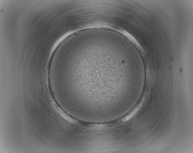 X0000080730854200612151222