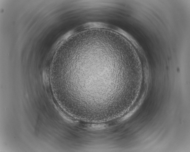 X0000080730857200612151222