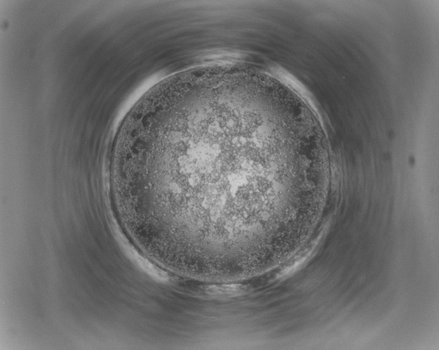 X0000080730859200612151222