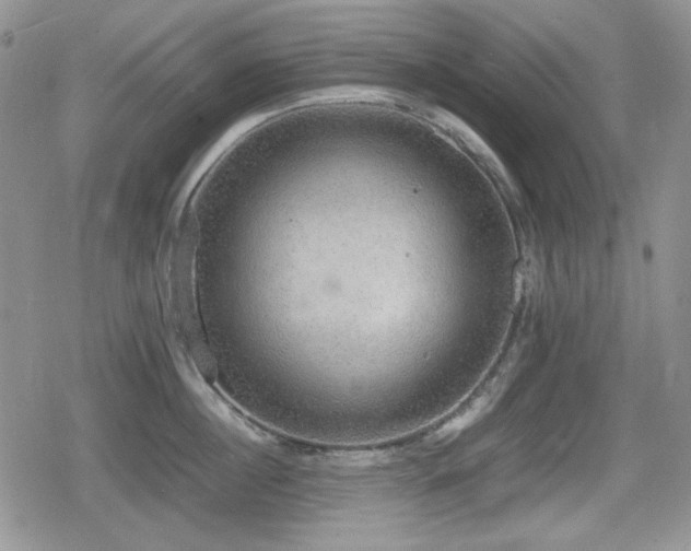 X0000080730860200612151222