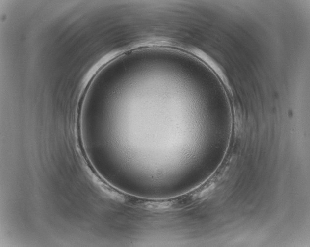 X0000080730861200612151222