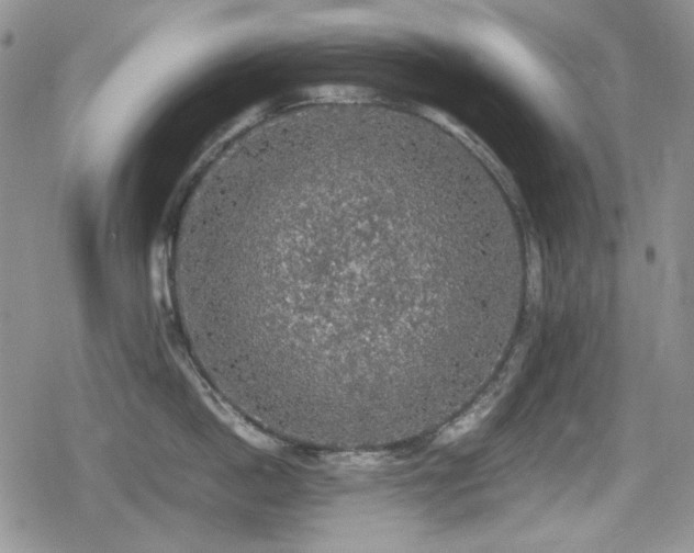 X0000080730862200612151222