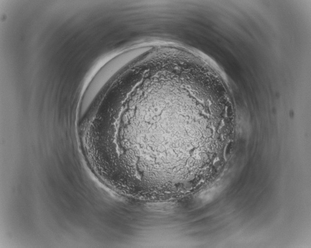 X0000080730863200612151222