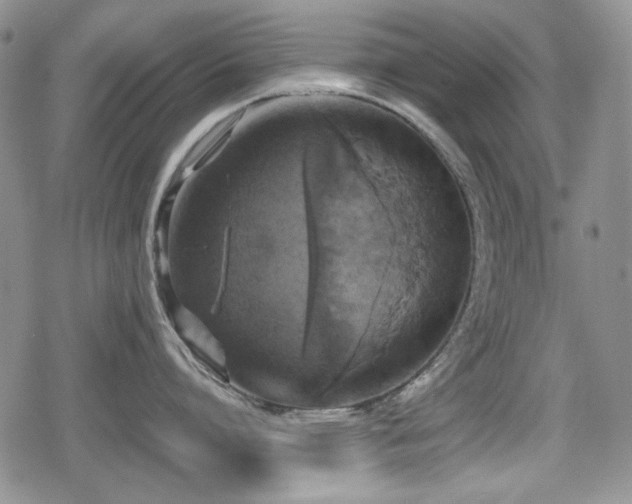 X0000080730864200612151222