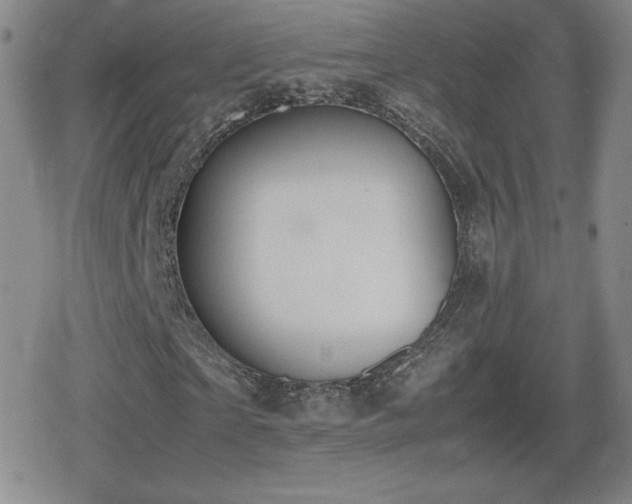 X0000080730865200612151222