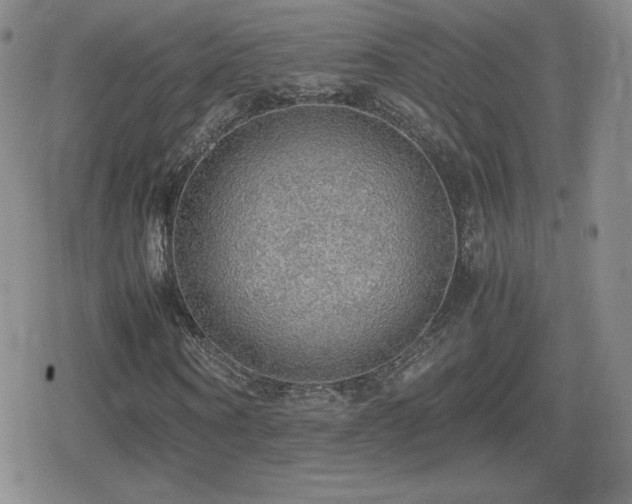 X0000080730866200612151222