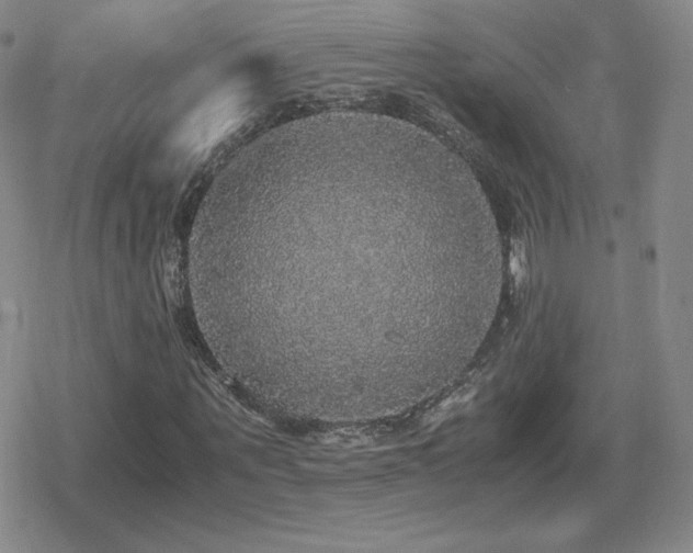 X0000080730867200612151222