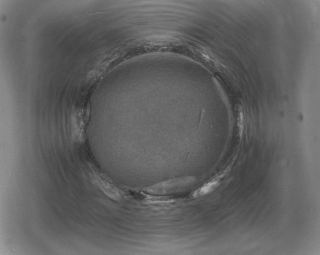 X0000080730868200612151222