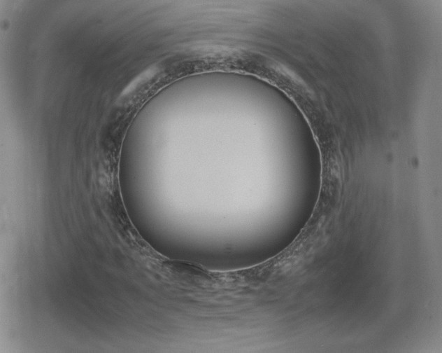 X0000080730869200612151221