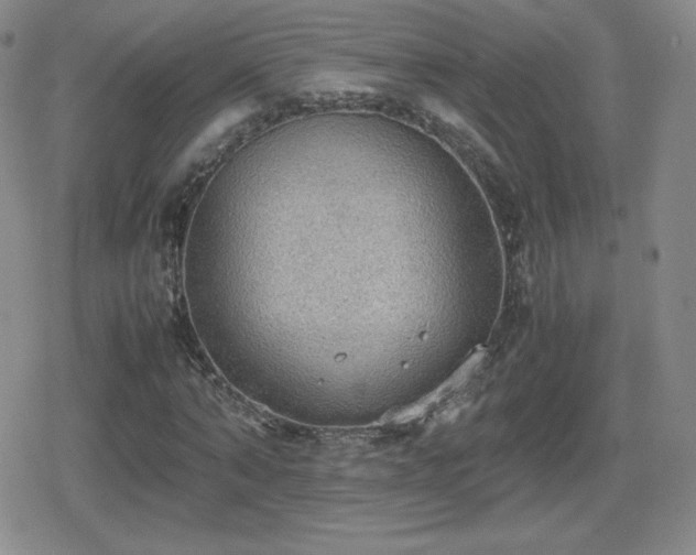 X0000080730870200612151221