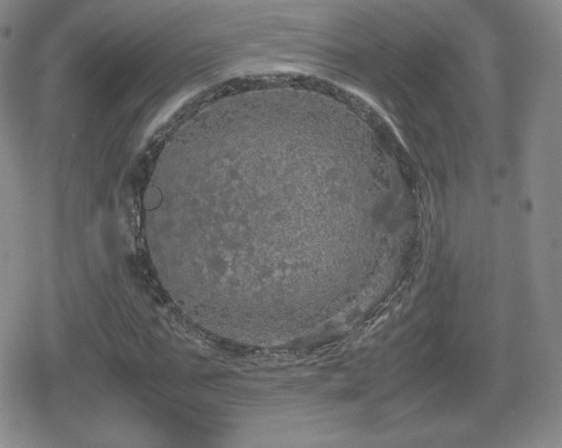 X0000080730871200612151221