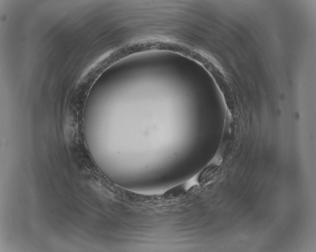 X0000080730872200612151221