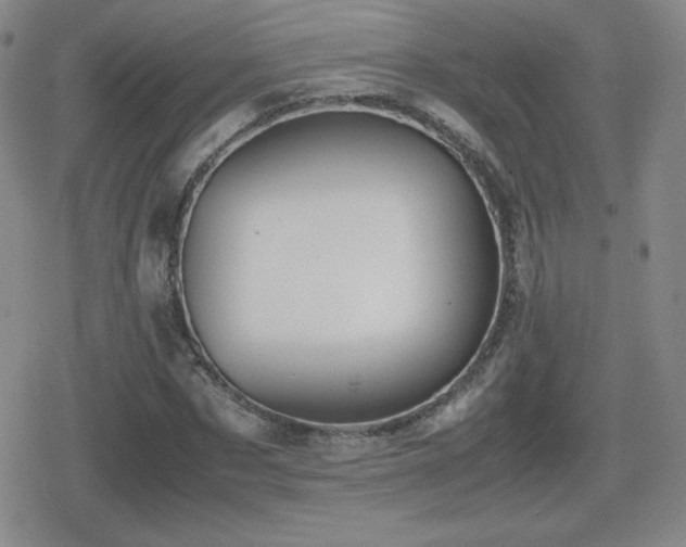 X0000080730873200612151221