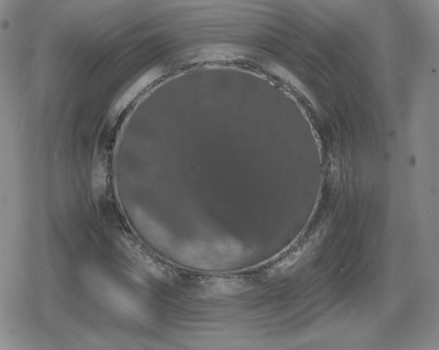 X0000080730874200612151221