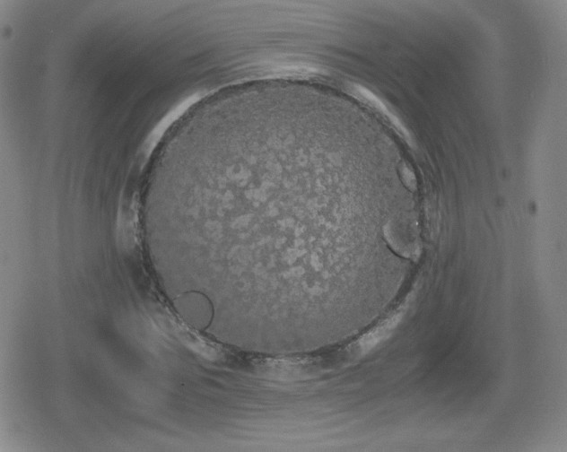 X0000080730875200612151221