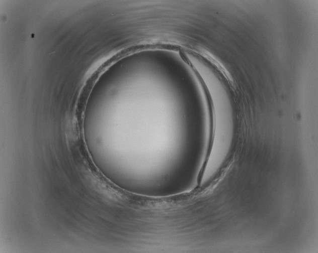 X0000080730876200612151221