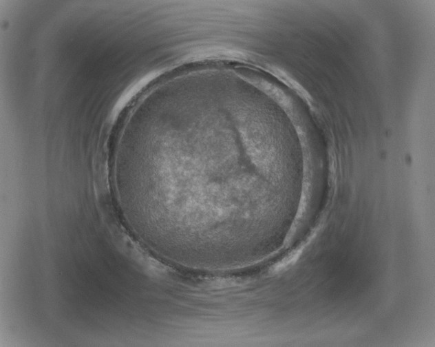 X0000080730877200612151221