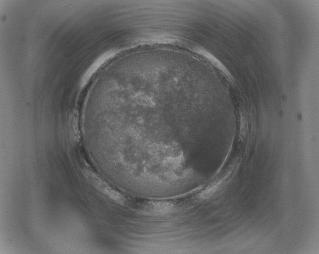 X0000080730878200612151221