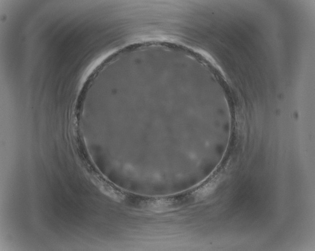 X0000080730879200612151221