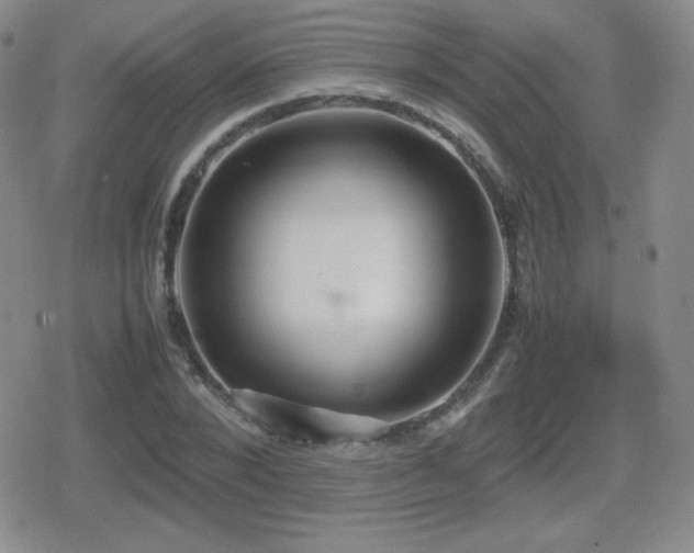 X0000080730880200612151221