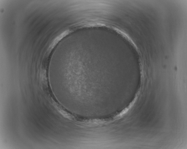 X0000080730881200612151221